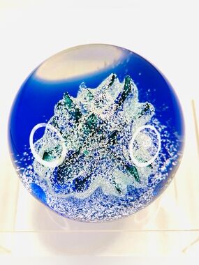 Caithness Limited Edition Ice Forest Paperweight with Gift Box Etched Backstamp